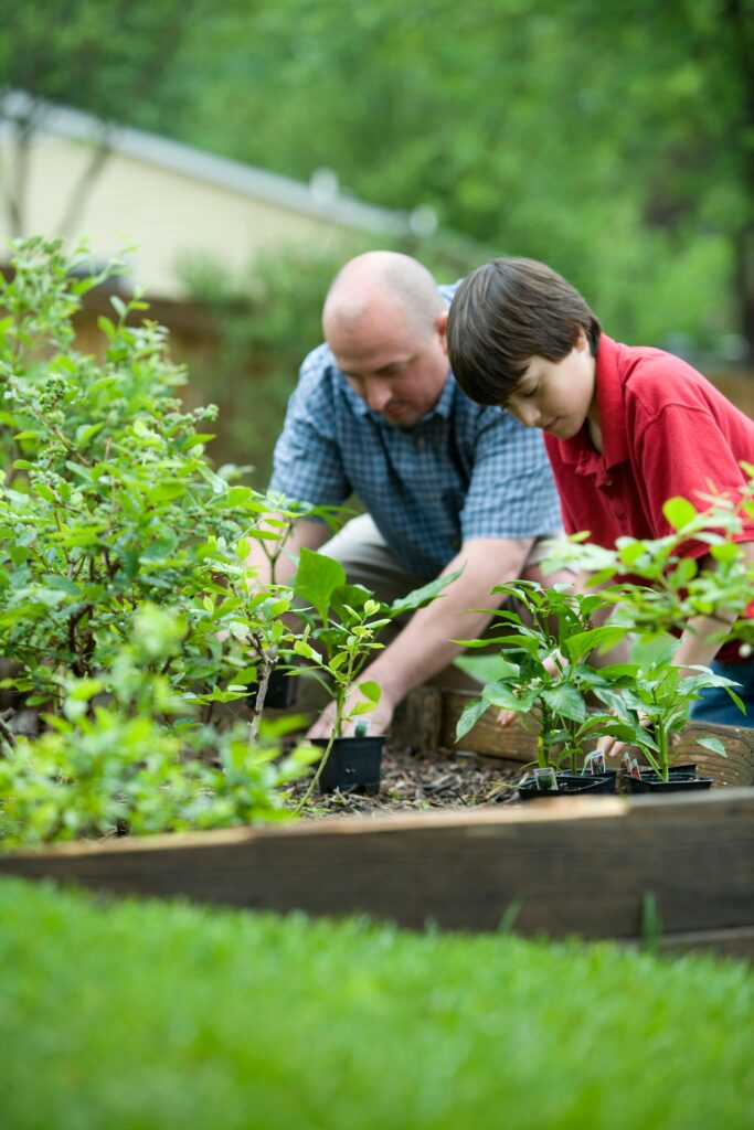 enjoy pain-free gardening
